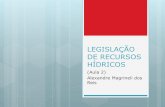 LEGISLAÇÃO DE RECURSOS HÍDRICOS - ALDEIA COMUM · DE RECURSOS HÍDRICOS (Aula 2) Alexandre Magrineli dos Reis . Lei nº 9.433, de 8 de janeiro ... 9.433/97 para a elaboração
