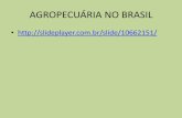 AGROPECUÁRIA NO BRASILcolegioagape.org.br/site/wp-content/uploads/2018/06/2em... · - agricultura familiar e de subsistência; ... •Extrativismo vegetal. Estrutura fundiária e