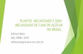 PLANTIO MECANIZADO E SEMI-MECANIZADO DE CANA DE AÇÚCAR …pages.cnpem.br/wectbe/wp-content/uploads/sites/83/2017/04/Edilson... · PLANTIO MECANIZADO E SEMI-MECANIZADO DE CANA DE