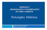 MÓDULO II DEGRADAÇÃO E CONSERVAÇÃO DO MEIO …hidro.ufcg.edu.br/twiki/pub/CienciasAmbienteAndrea/MaterialDaDisci... · Importância da água Alémdisso,aágua representa 70%