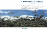 Degradação florestal na Amazônia: como ultrapassar os ... · Cientista florestal, Mestre em Ecologia Pesquisador do Centro para Pesquisa Agrícola (Celos), Suriname. Plinio Sist