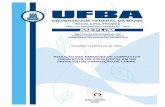 UNIVERSIDADE FEDERAL DA BAHIA - teclim.ufba.br · Esta dissertação detalha um estudo de caso desenvolvido em uma planta de ... Efeito dos “sprays” de alta pressão sobre o Df/t