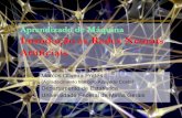 Aprendizado de Máquina Introdução às Redes Neurais Artificiaismarcosop/est171-ML/slides/RNA_MLP.pdf · Blocos do Sistema Nervoso . Tarefa: Aprender a andar Robô Ser Humano Inteligência