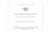 Avaliação da usabilidade e organização e ...ci02005/textos/Relatorio_Paulo_Sousa.pdf · Avaliação da usabilidade e organização e representação da informação do website