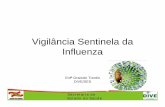 Vigilância Sentinela da Influenza A (H1N1) · • Para efeito da vigilância da Influenza, a Síndrome Gripal (SG) é definida como: ... 2.618.483 93% (meta 80%) Secretaria de Estado