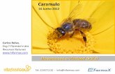 Caramulo · Líder na área da sanidade apícola em Portugal . 1. Nosema apis e ceranae ... usado para penetrar a célula intestinal e para injectar o conteúdo do esporo (esporoplasma)