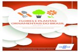 FLORES E PLANTAS ORNAMENTAIS DO BRASILFile/5516.pdf · 5 flores e plantas ornamentais do brasil – volume 3 sumÁrio 1. tendÊncias, perspectivas e desafios para o desenvolvimen-to