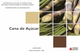SECRETARIA DE ESTADO DE AGRICULTURA, PECUÁRIA E ...1... · O presente trabalho reúne um conjunto de informações sobre os indicadores da Cana-de-Açúcar e seus subprodutos de