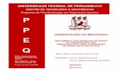 1 UNIVERSIDADE FEDERAL DE PERNAMBUCO · CENTRO DE TECNOLOGIA E GEOCIÊNCIAS Programa de Pós-Graduação em Engenharia Química P P E Q PPEQ - Programa de Pós-Graduação em Engenharia