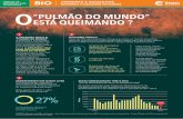 O “PULMÃO DO MUNDO” ESTÁ QUEIMANDO - evl.com.brevl.com.br/enem/wp-content/uploads/2015/10/o-pulmao-do-mundo-esta... · Taxa de desmatamento anual na Amazônia Legal Os dados