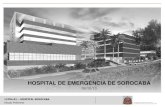 HOSPITAL DE EMERGÊNCIA DE SOROCABA - Cidadão · 12704-01 – hospital sorocaba estudo preliminar secretaria de estado da saÚde coordenadoria de serviÇo de saÚde proposta de arquitetura