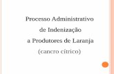 Processo Administrativo de Indenização a Produtores de ... · a doença. Permite a comercialização dos frutos cítricos produzidos por árvores indenes da propriedade interditada.