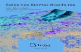 solos nos biomas brasileiros - atenaeditora.com.br · APRESENTAÇÃO A obra “Solos nos Biomas Brasileiro” aborda uma série de livros de publicação da Atena Editora, em seu