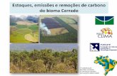 Estoques, emissões e remoções de carbono do bioma Cerradoredd.mma.gov.br/images/central-de-midia/pdf/publicacoes/mercedes... · Distribuição dos biomas brasileiras (IBGE, 2004).