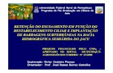 RETENÇÃO DO ESCOAMENTO EM FUNÇÃO DO …lira.pro.br/wordpress/wp-content/uploads/2009/12/apresentacao... · jurema-preta (Mimosa tenuiflora), aroeira-do-sertão (Myracrodruon urundeuva),