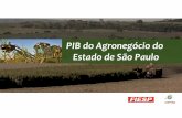 PIB do Agronegócio do Estado de São Pauloaz545403.vo.msecnd.net/uploads/2014/10/pib-do-agronegocio-do... · Metodologia | Segmento Agroindústria Indústria do Café Açúcar e