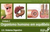 Unidade 2 Organismo humano em equilíbrio - jcmorais.com · Compreender a importância do sistema digestivo para o equilíbrio do organismo humano A. Identificar as etapas da nutrição.