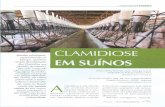 ainfo.cnptia.embrapa.brainfo.cnptia.embrapa.br/.../121199/1/Clamidiose-em-suinos-270315.pdf · países onde a suino- cultura é desenvolvi- da, como no Brasil, ainda não existem