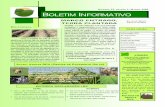 Boletim Informativo Março. 2009 - media.calcob.commedia.calcob.com/MULTIMEDIA/DOCUMENTOS/266/BOLETIM13.PDF.pdf · No caso dos direitos baseados na superfície, considera- se hectare