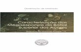 Caracterização das esponjas do Batial dos Açores · As esponjas constituem um grupo taxonómico importante e diverso nas comunidades bentónicas, em especial em ecossistemas de