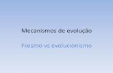 Mecanismos de evolução - SusanaPacheco.euweb.susanapacheco.eu/uploads/6/3/4/6/634663/mecanismos_de_evoluo... · seres vivos são constantemente formados a partir da matéria não