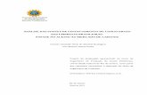 Projeto de Graduação - monografias.poli.ufrj.br · ii Rodrigues, Octavio A. D. A. Jarque Junior, Vito M. Análise das Fontes de Financiamento de Longo Prazo das Empresas Brasileiras: