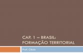 CAP. 1 – BRASIL: FORMAÇÃO TERRITORIAL · propriedade e de exploração econômica. ... incorporaram ao território do Brasil. Mais da metade da extensão total das fronteiras
