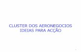 CLUSTER DOS AERONEGOCIOS IDEIAS PARA ACÇÃO · Operacionalizar o Conselho Consultivo da aviação civil como um fórum de coordenação e consulta no domínio da aviação civil