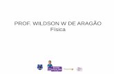 PROF. WILDSON W DE ARAGÃO Física · atinja a maior altura possível, ou seja, o máximo de energia seja conservada, é ... energia potencial gravitacional, representada na etapa