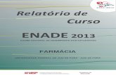 ENADE 2013 - ufjf.br · A prova do ENADE/2013, com duração total de 4 (quatro) horas, apresentou um componente de avaliação da Formação Geral, comum aos cursos de todas as áreas,