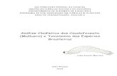 Análise Cladística dos Caudofoveata (Mollusca) e Taxonomia ...livros01.livrosgratis.com.br/cp063966.pdf · Caudofoveata são moluscos sem concha, de 2-140 mm de comprimento, corpo