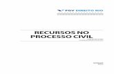 RECURSOS NO PROCESSO CIVIL - direitorio.fgv.brdireitorio.fgv.br/.../u100/recursos_no_processo_civil_2014-2_1.pdf · Processo Civil brasileiro e a capacidade de relacionar a teoria