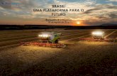 BRASIL: UMA PLATAFORMA PARA O FUTURO - ufrgs.br · Elaboração: GV Agro Balança Comercial do Agronegócio Saldo Comercial Brasileiro. EXPORTAÇÕES DO AGRONEGÓCIO - PRODUTOS Produtos