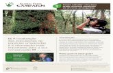 Como estudar uma área 1Guia onde ocorrem espéciesglobaltrees.org/wp-content/uploads/2017/11/GTC-Guia-1-alta.pdf · Como estudar uma área onde ocorrem espécies de árvores ameaçadas