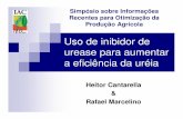 Uso de inibidor de urease para aumentar a eficiência da uréiabrasil.ipni.net/ipniweb/region/brasil.nsf... · ˛ ˇ˚ 9ˇ ˙ ˝ ˇ: ˙ NB; N ˇ Resultados são médias de 3 doses