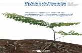 Desenvolvimento inicial da amburana ( em áreas de Cerrado … · A madeira aromática, boa de trabalhar (PAULA; ALVES, 1997 citados por ALMEIDA et al., 1998), é moderadamente pesada