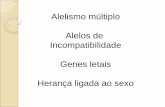 Alelismo múltiplo Alelos de Incompatibilidade Genes letais ... · IAIB grupo sanguíneo AB antígenos A e B (sem anticorpos) ii grupo sanguíneo O anticorpo A e B (sem antígenos)