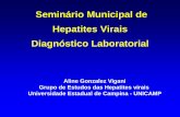 Seminário Municipal de Hepatites Virais Diagnóstico ... · Hepatite B Pesquisa dos marcadores sorológicos ELISA (Ensaio Imunoenzimático) HBsAg HBeAg Anti-HBc Total Anti-HBc IgM