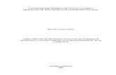 UNIVERSIDADE FEDERAL DE SANTA CATARINA PROGRAMA …livros01.livrosgratis.com.br/cp046743.pdf · carbono para microorganismos contaminantes do processo fermentativo. ... laboratório,