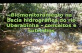Biomonitoramento na bacia hidrográfica do rio Uberabinha ...cbharaguari.org.br/uploads/1_o_comite/eventos/2015/perspectivas/... · O que já sabemos sobre biomonitoramento ... (13
