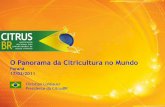 O Panorama da Citricultura no Mundo - CitrusBr · Sucos, Néctares e Refrescos Além da concorrência com outras categorias de bebidas, o suco de laranja exportado pelo Brasil enfrenta