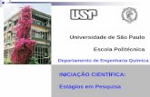Universidade de São Paulo Escola Politécnica · Departamento de Engenharia Química INICIAÇÃO CIENTÍFICA: ... Desvantagens Áreas de Pesquisa Modalidades de estágio Como se