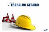 TRABALHO SEGURO - vilaserenabahia.com.br. Léa Nunes.pdf · e conscientização sobre os malefícios da dependência química e do álcool em toda a empresa, independentemente do