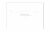 Farmanguinhos isoniazida + rifampicina fileMecanismo de ação: A isoniazida inibe a síntese do ácido micólico, componente essencial da parede celular das micobactérias. Página