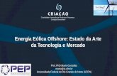 Energia Eólica Offshore: Estado da Arte da Tecnologia e ... · Medição de desempenho na cadeia de suprimentos de energia eólica do Brasil 2012 - 2014 Desenvolvimento sustentável