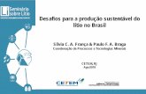 Desafios para a produção sustentável do lítio no Brasil · Desafios para a produção sustentável do lítio no Brasil ... Frações de ligas Fe-Ni, folhas de Al Li. 2. CO. 3.
