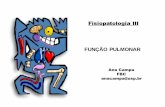 Fisiopatologia III FUNÇÃO PULMONAR - social.stoa.usp.brsocial.stoa.usp.br/articles/0016/5330/aula_pulmonar.pdf · estas camadas contem somente uma pequena quantidade de fluido lubrificante.