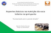 NUTRIÇÃO DE VACAS NO PRÉ-PARTO - ufpel.edu.br · Aspectos básicos na nutrição da vaca leiteira no pré-parto “A preparação para o grande desafio” Marcelo Moreira Antunes
