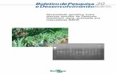 Diversidade genética entre plantas sexuais de Panicum … · 2016-08-08 · coeficiente de Jaccard e o agrupamento foi feito pelo método de ... Para a extração de DNA foram colhidas
