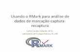Usando o RMark para análise de dados de marcação-captura ...ecologia.ib.usp.br/.../exe/fetch.php?media=matapoio:rmark_popan.pdf · Usando o RMark para análise de dados de marcação-captura-recaptura